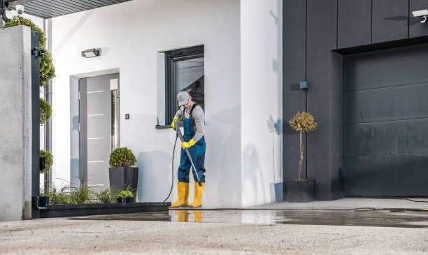 Best Roof Washing  in Eldridge, IA